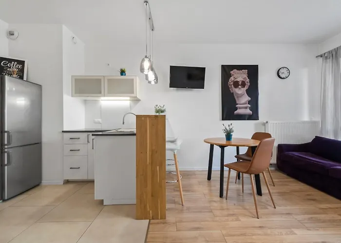 Comfy Studio. City Center.